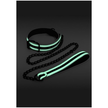 GLOW IN THE DARK COLLAR AND LEASH