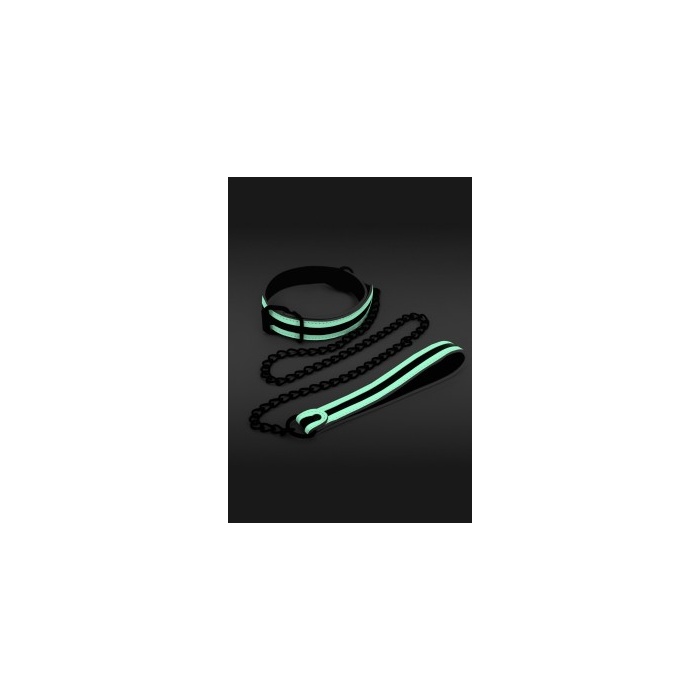 GLOW IN THE DARK COLLAR AND LEASH