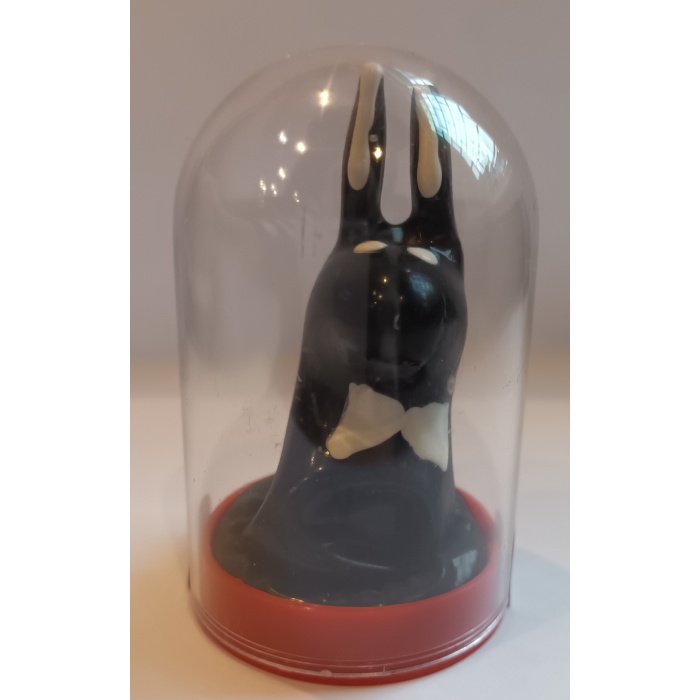 CONDOM SEXY BUNNY