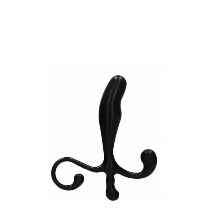 BR PE PROSTATE PLEASER 01