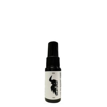 FS DELAY SPRAY 15ml