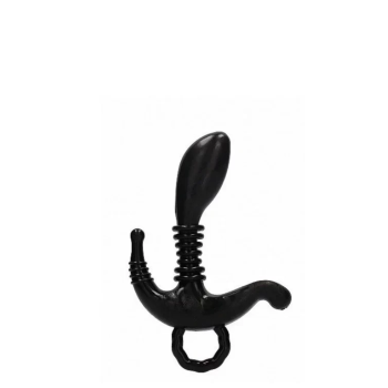 BR PE PROSTATE PLEASER 02