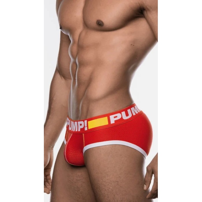 PUMP FLASH BRIEF