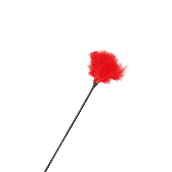 DARKNESS STIMULATING PEN TICKLER RED 42CM