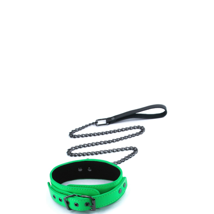 ELECTRA COLLAR + LEASH
