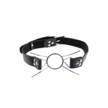 FF EXTREME SPIDER GAG