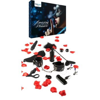 AMAZING PLEASURE SEX TOY KIT