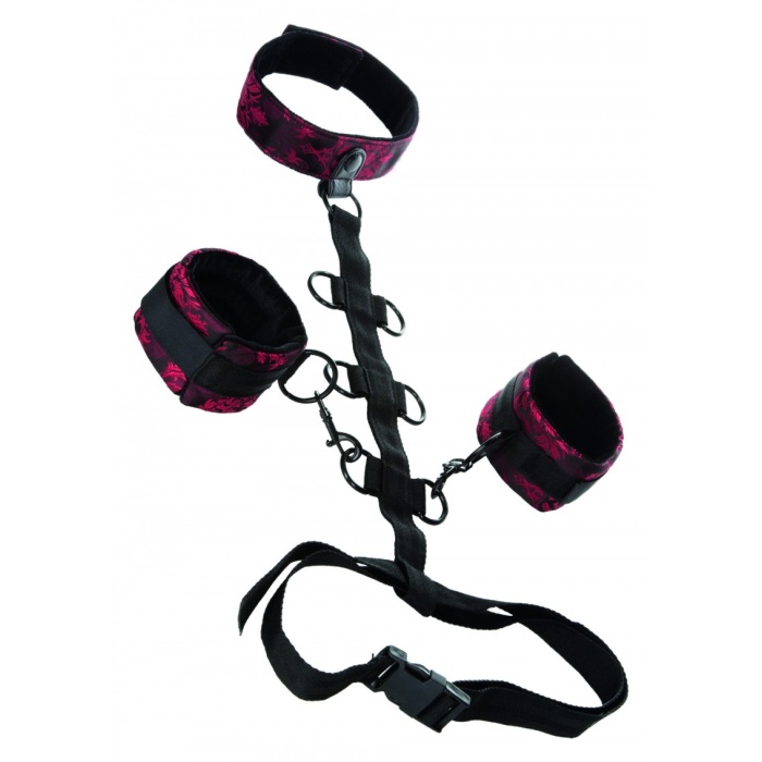 COLLAR BODY RESTRAINT