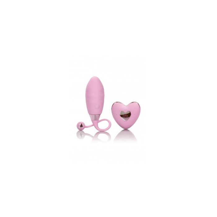 AMOUR REMOTE BULLET