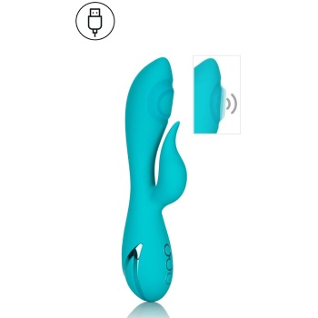 SANTA MONICA STARLET