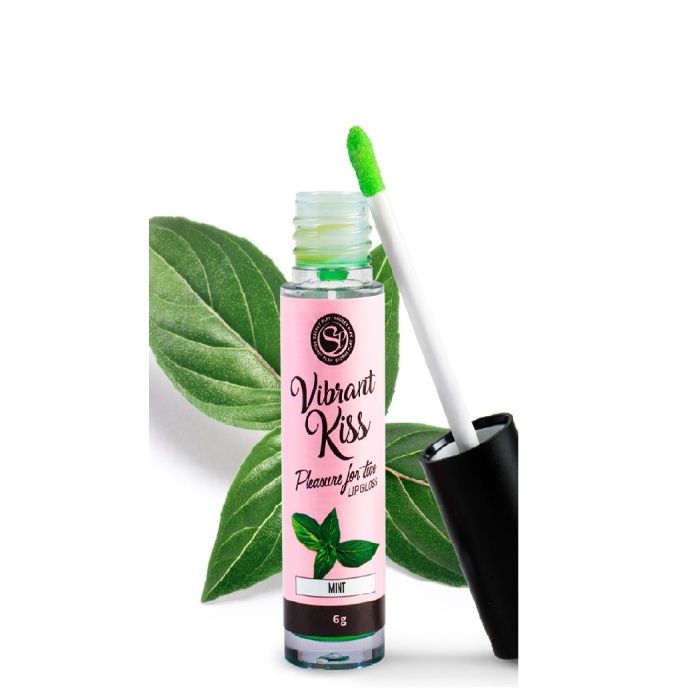 LIP GLOSS VIBRANT KISS MINT 6g
