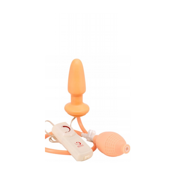 1349-1349_662bf737566495.97998349_buttplug-pump-vibrator_large.png