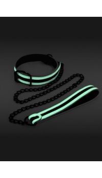 GLOW IN THE DARK COLLAR AND LEASH