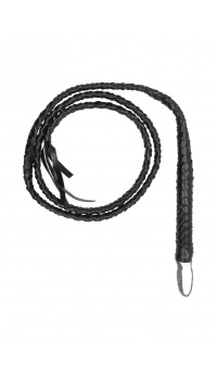 TWISTED WHIP 