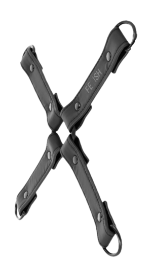 FETISH SUBMISSIVE HOGTIE