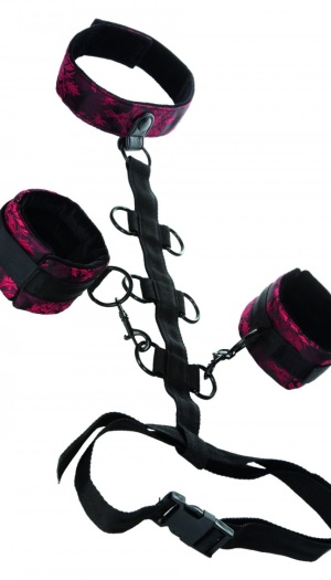 COLLAR BODY RESTRAINT