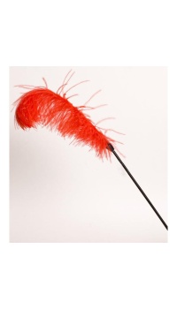 FF LOVE PLUMES
