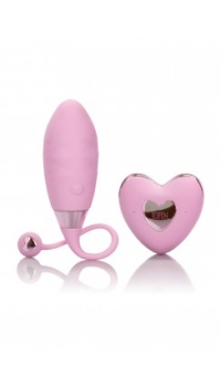AMOUR REMOTE BULLET