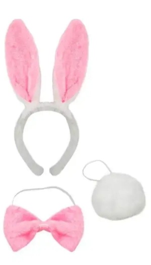 BUNNY ROLEPLAY KIT