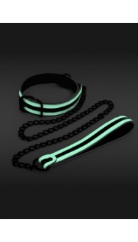 GLOW IN THE DARK COLLAR AND LEASH