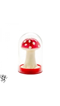 CONDOM MUSHROOM