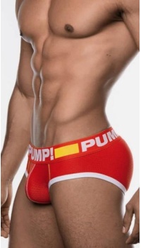 PUMP FLASH BRIEF