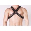 PROWLER HARNESS M