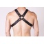 PROWLER HARNESS M
