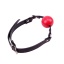 HI-BASIC RED BALL GAG
