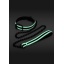 GLOW IN THE DARK COLLAR AND LEASH