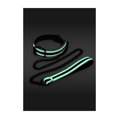GLOW IN THE DARK COLLAR AND LEASH