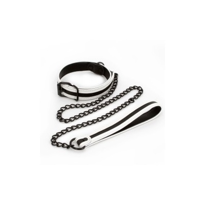 GLOW IN THE DARK COLLAR AND LEASH