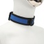 PUPPY PLAY NEOPRENE COLLAR - BLUE