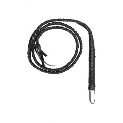 TWISTED WHIP 
