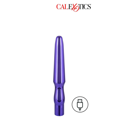 RECHARGEABLE ANAL PROBE