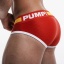 PUMP FLASH BRIEF