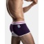 PUMP PURPLE SPACE CANDY BOXER