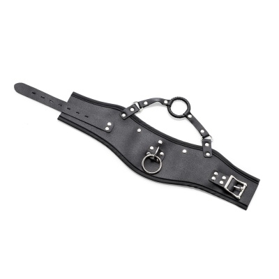 POSTURE COLLAR WITH O-RING + LEASH