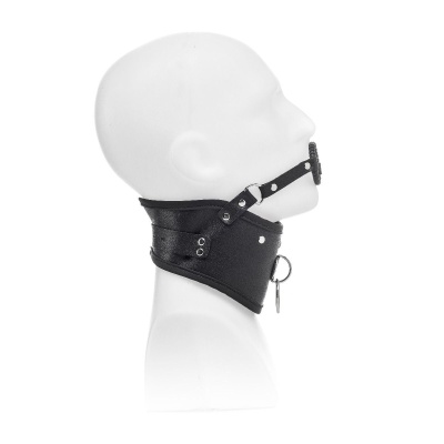 POSTURE COLLAR WITH O-RING + LEASH