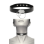 COQUETTE CHOKER WITH DOUBLE METAL RING