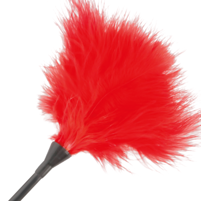 DARKNESS STIMULATING PEN TICKLER RED 42CM