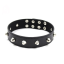 NECK COLLAR WITH STUDS BLACK