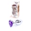 EXCLUSIVITY ANAL PLUG SILVER/PURPLE HEART SMALL