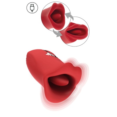 THE KISSER