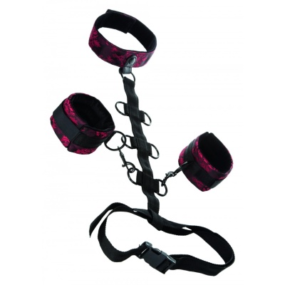 COLLAR BODY RESTRAINT