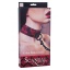 SCANDAL COLLAR WITH LEASH