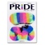 PRIDE PLAY SET