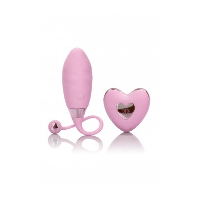 AMOUR REMOTE BULLET