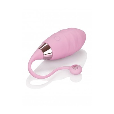 AMOUR REMOTE BULLET