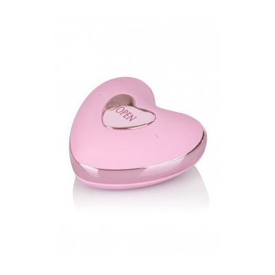 AMOUR REMOTE BULLET